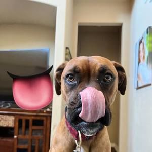 Meet your Posher, Jenny